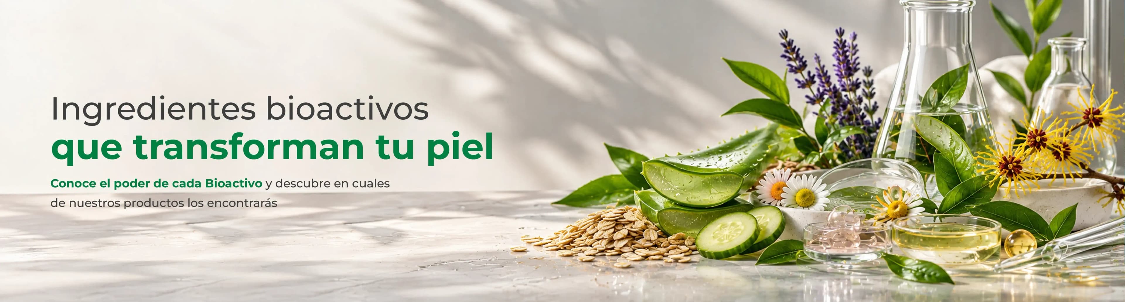 Banner Bioactivos