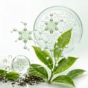 Té verde